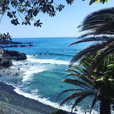 Bonito Cerca Del Mar *