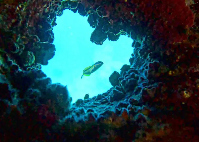 Apartment Bonito Cerca Del Mar Puerto de Santiago (Tenerife)