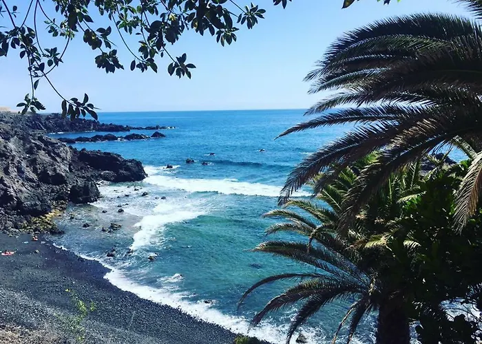 Bonito Cerca Del Mar *