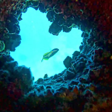 Apartment Bonito Cerca Del Mar Puerto de Santiago (Tenerife)